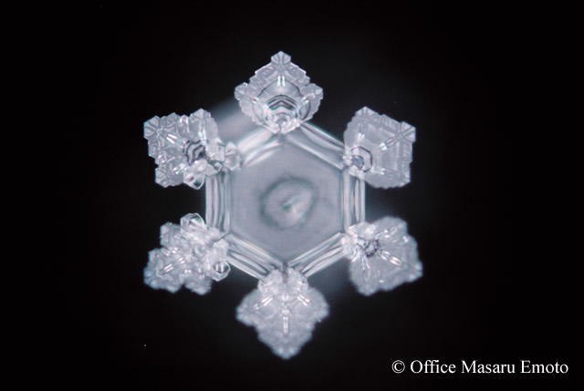 Amazon-River-Office-Masaru-Emoto