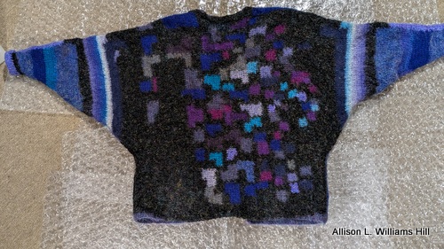 Blue-sweater-jacket-2-back Blue-sweater-jacket-2-back