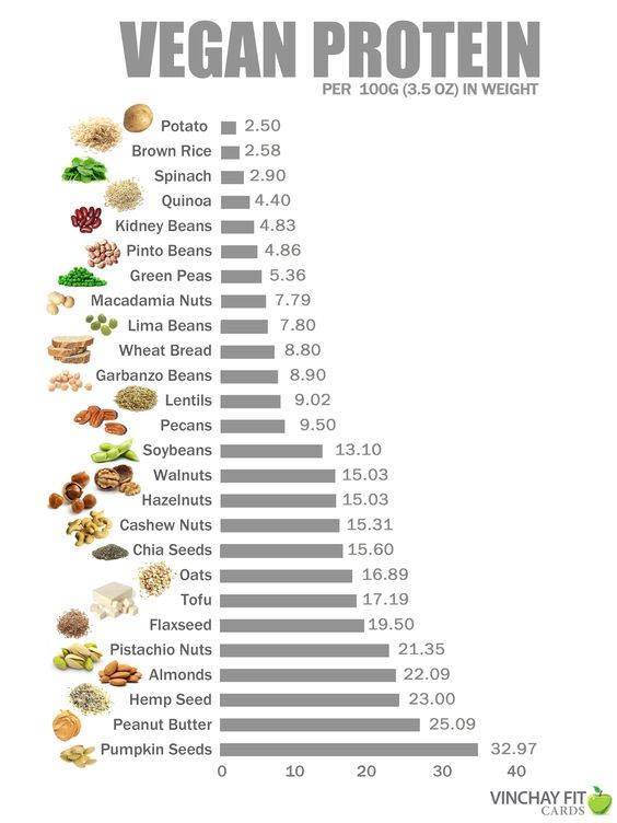 Health-13-Protein