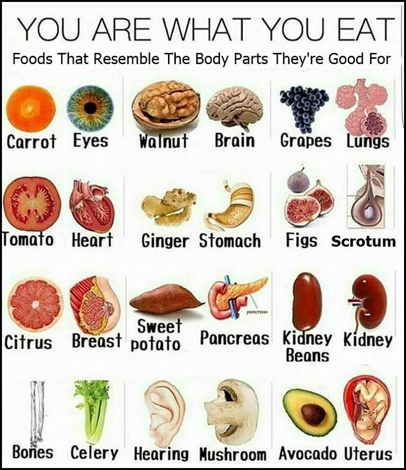 Health-6i Food In-Vesica Art Design Energy 