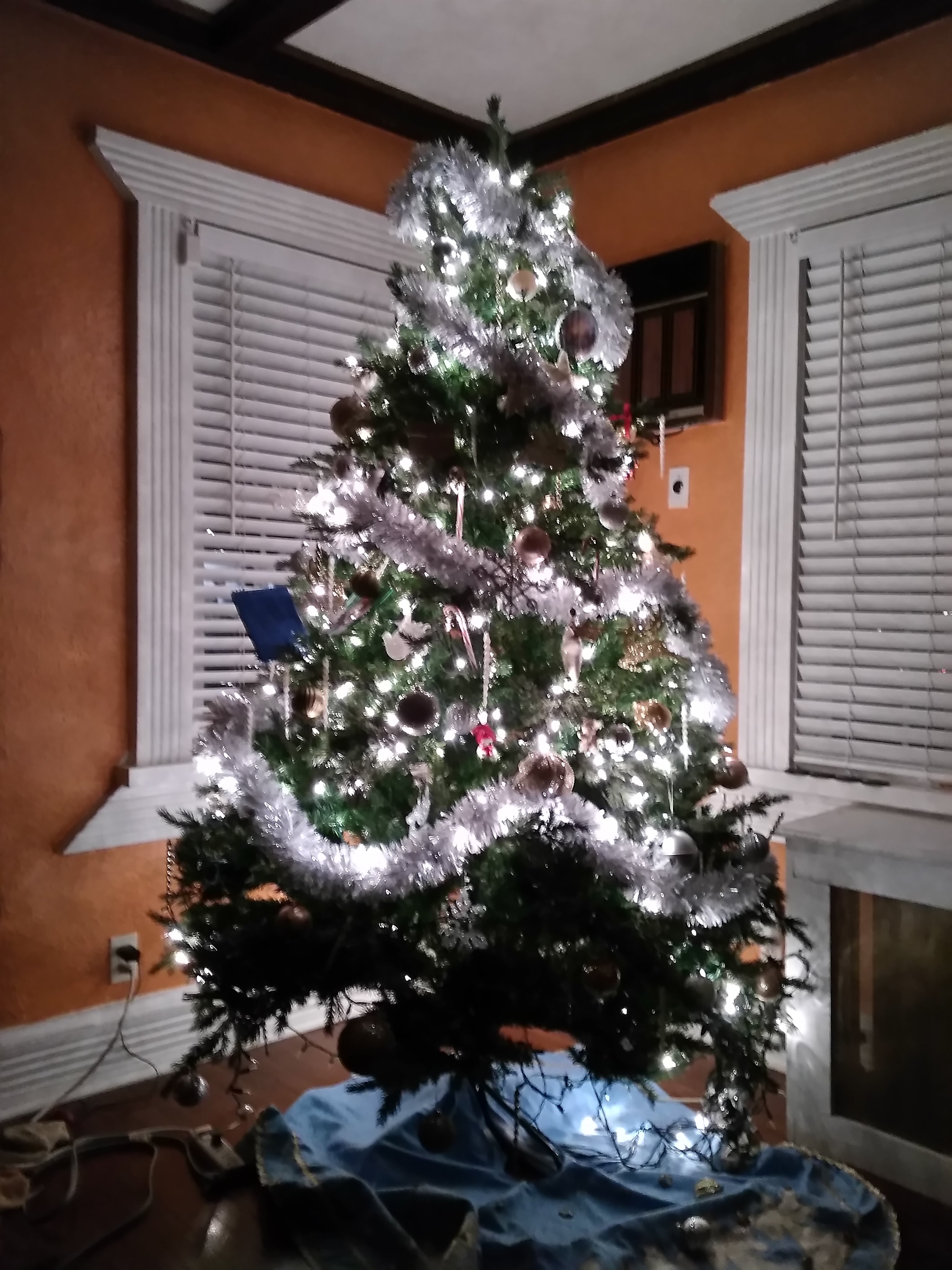 Herrera-Christmas-Tree-1-by-Allison-L-Williams-Hill