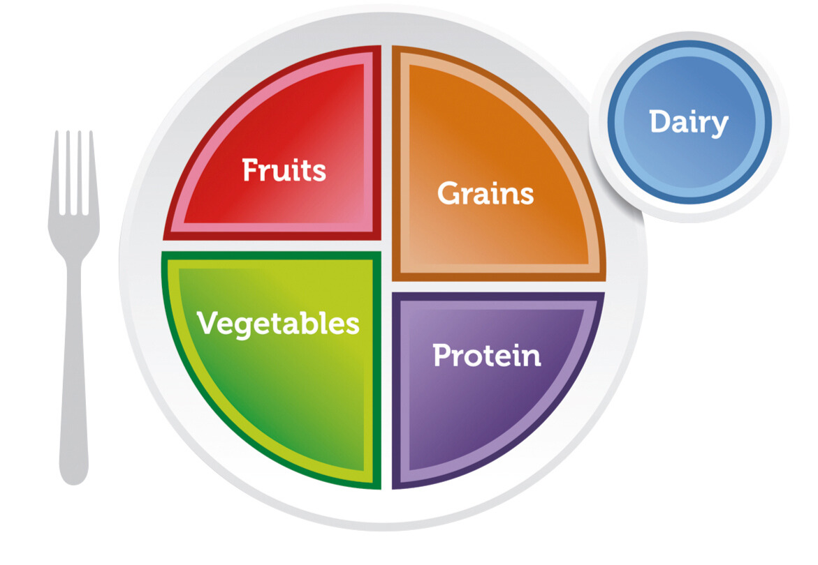 standard_american_diet_pyramid in-vesica.com In-Vesica Art Design Energy  MyPlate-Cropped-for-In-Vesica-Art-Design-Energy