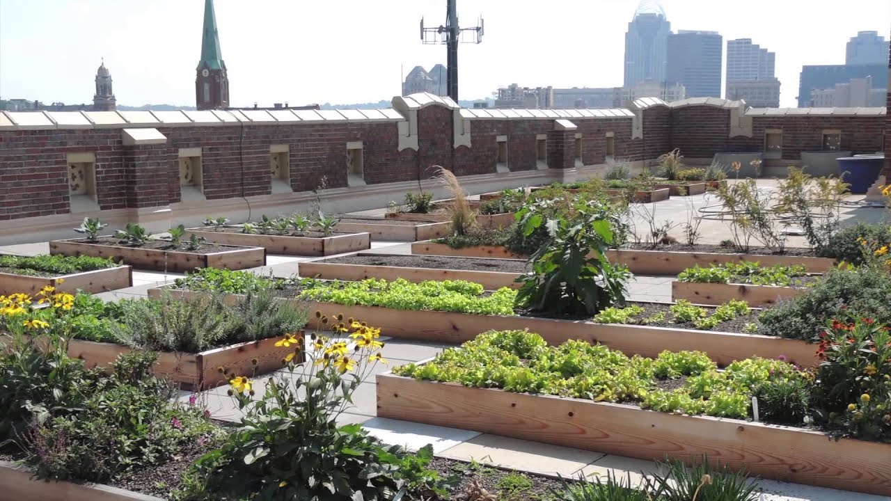 A Rooftop Garden,Rothenberg Rooftop Garden