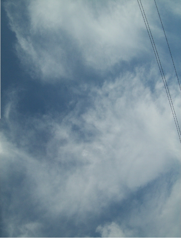 The-Happy-Puppy-in-the-Clouds-Allison-L-Williams-Hill