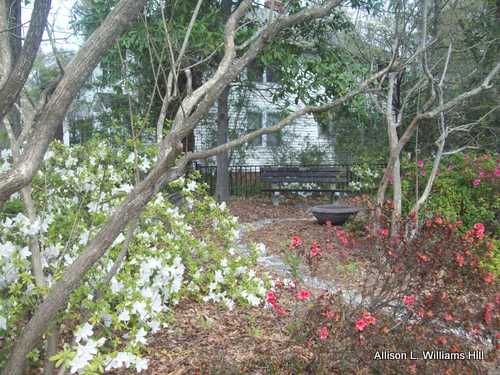 tranquility in-vesica.com In-Vesica Art Design Energy