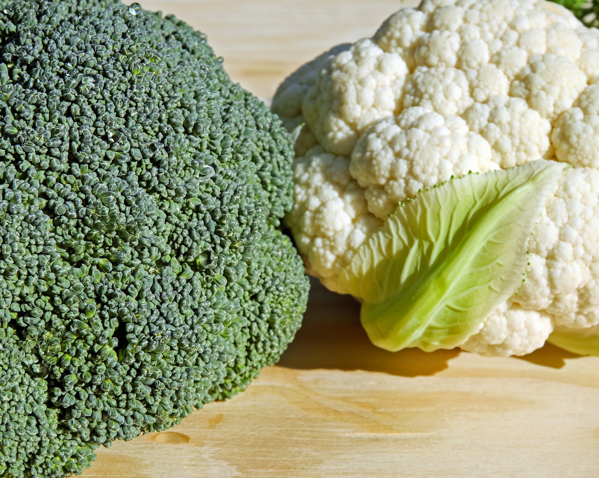 broccoli-in-vesica-Allison-Williams