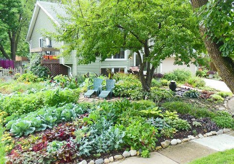 A Front Yard Food Garden In-Vesica
