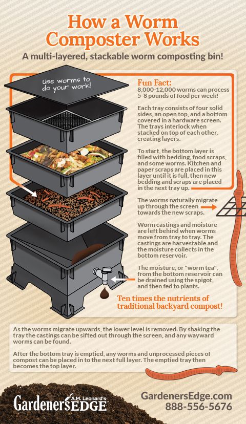 Garden How a Worm Composter Works