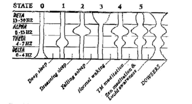 Brain-Characteristics-of-Dowsers