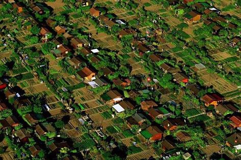 Garden Foodscaping Aerial