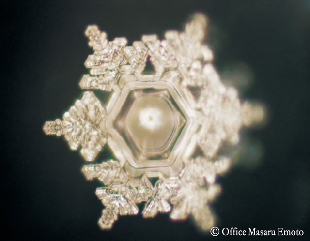 Fuji-River-Office-Masaro-Emoto Fuji-River-Office-Masaro-Emoto