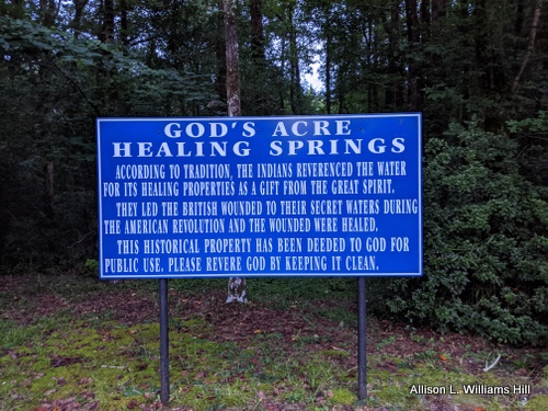 Gods-Healing-Springs-Signage-by-Allison-L-Williams-Hill Gods-Healing-Springs-Signage-by-Allison-L-Williams-Hill