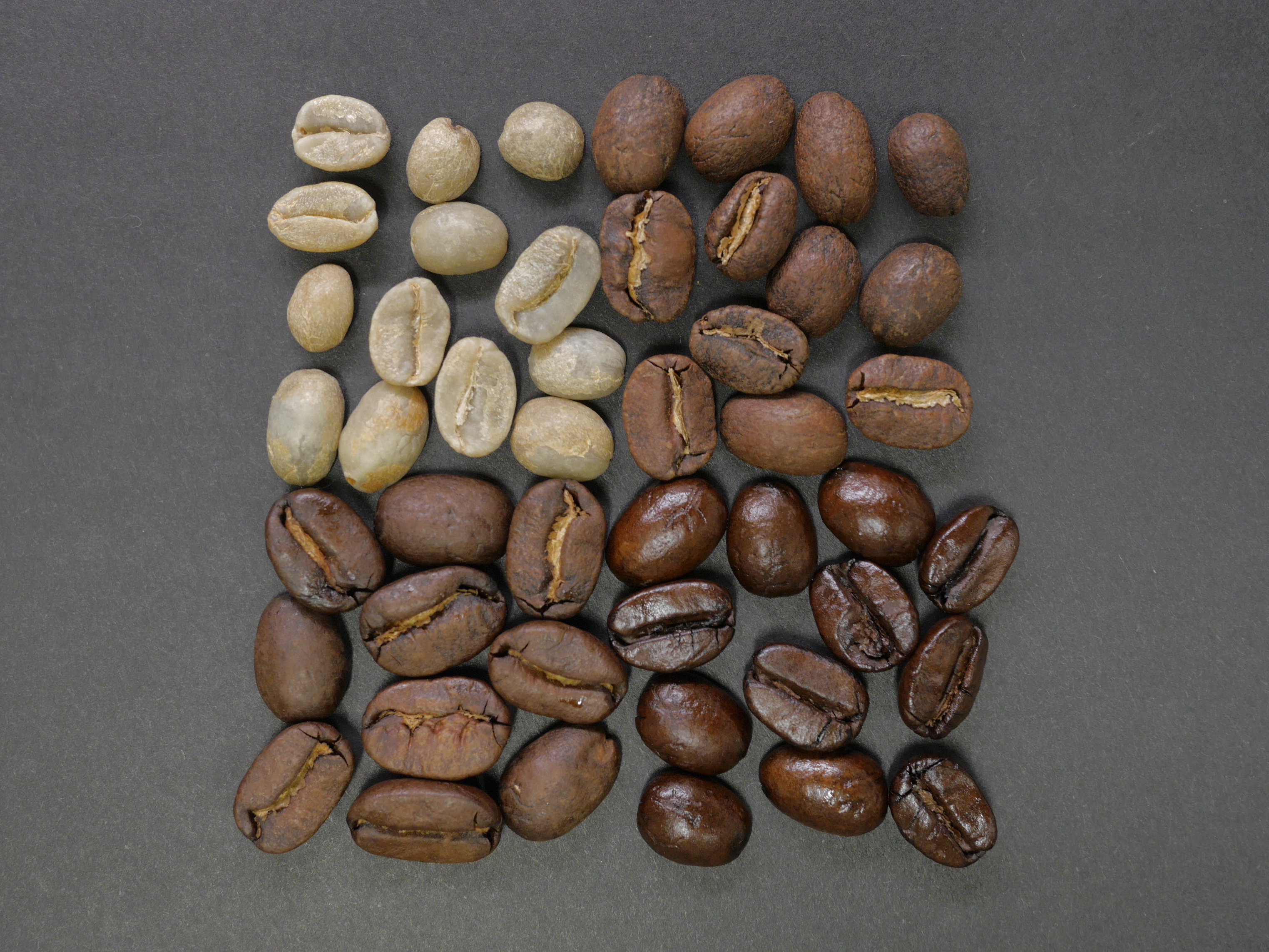In-Vesica-seed-brown-nut