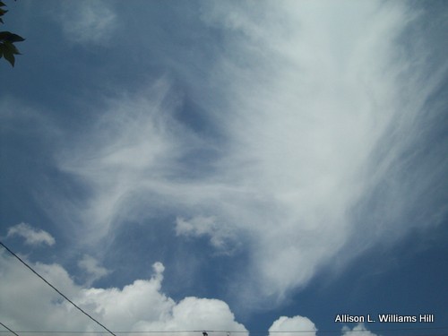 in-vesica projects in-vesica.com In-Vesica Art Design Energy Sylph-2 Allison-L-Williams-Hill in-vesica projects in-vesica.com In-Vesica Art Design Energy Sylph-2 Allison-L-Williams-Hill