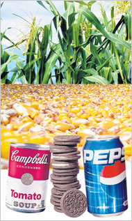 High Fructose Corn Syrup: Avoid It