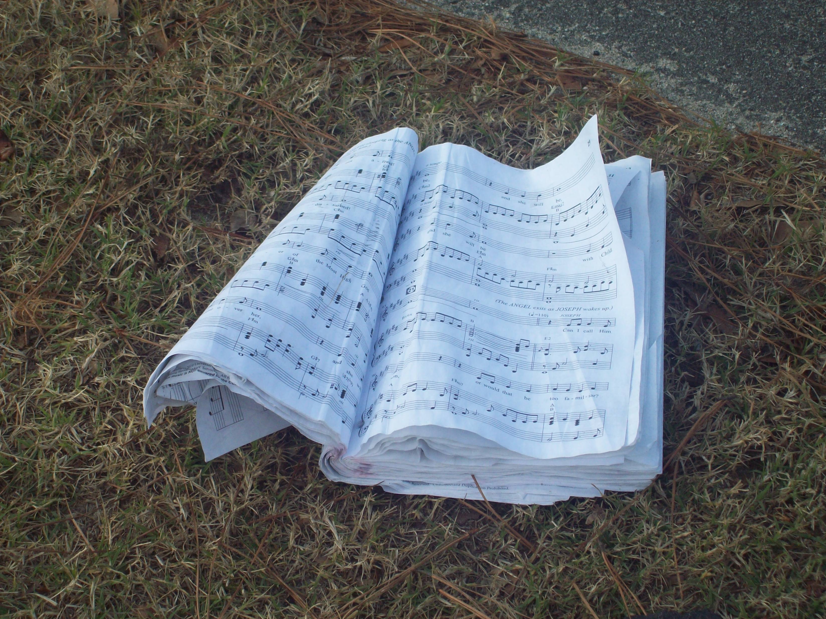 hymns-2-by-Allison-L-Williams-Hill