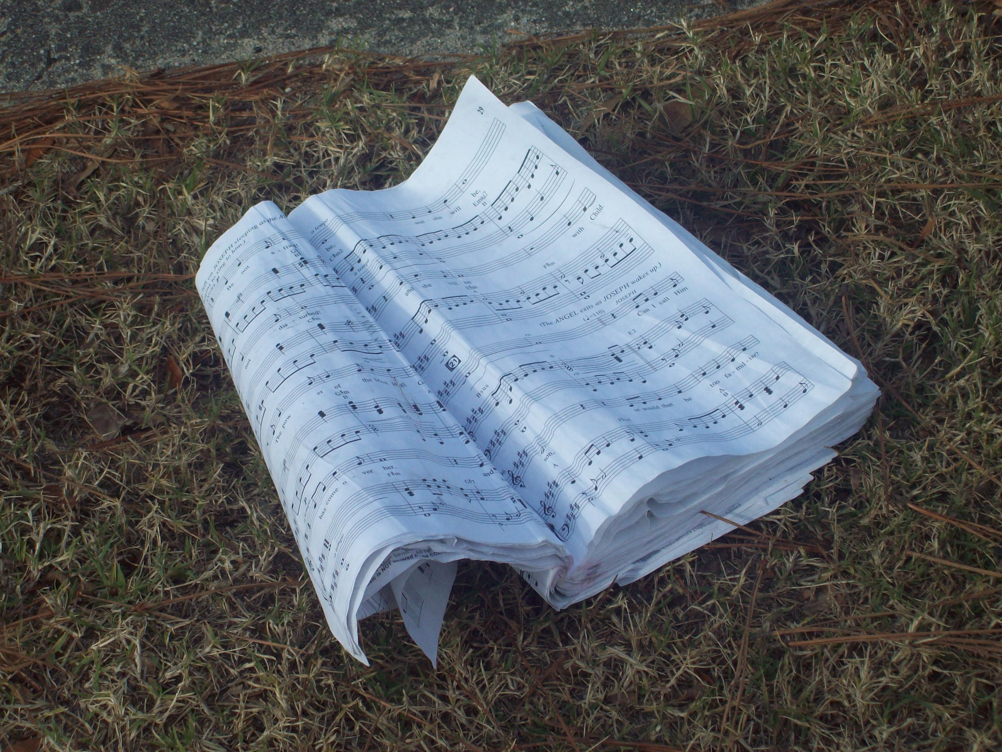 hymns-3-by-Allison-L-Williams-Hill